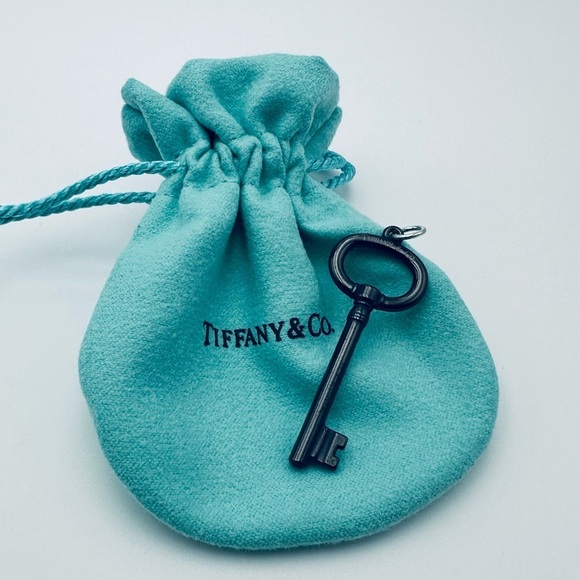Retired Tiffany & Co. Black Titanium Oval Key Charm Pendant with Pouch - Picture 8 of 8